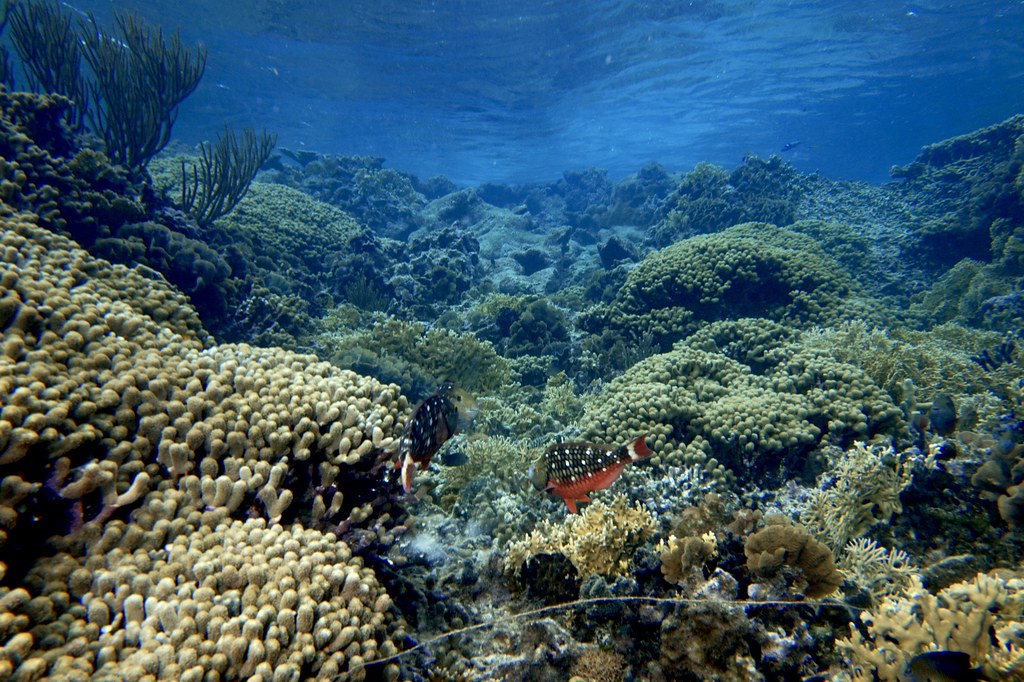 Islas San Blas en Panamá aguas cristalinas